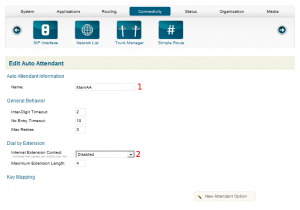 Blue.Box VOIP Auto Attendant Edit - Excessive Computing Computer Repair Alpharetta, GA