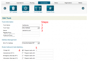 Blue.Box VOIP Trunk Edit Page 1 - Excessive Computing Computer Repair Alpharetta, GA
